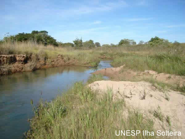Ausência de mata ciliar e bancos de areia no Córrego do Coqueiro em 23 de junho de 2007
